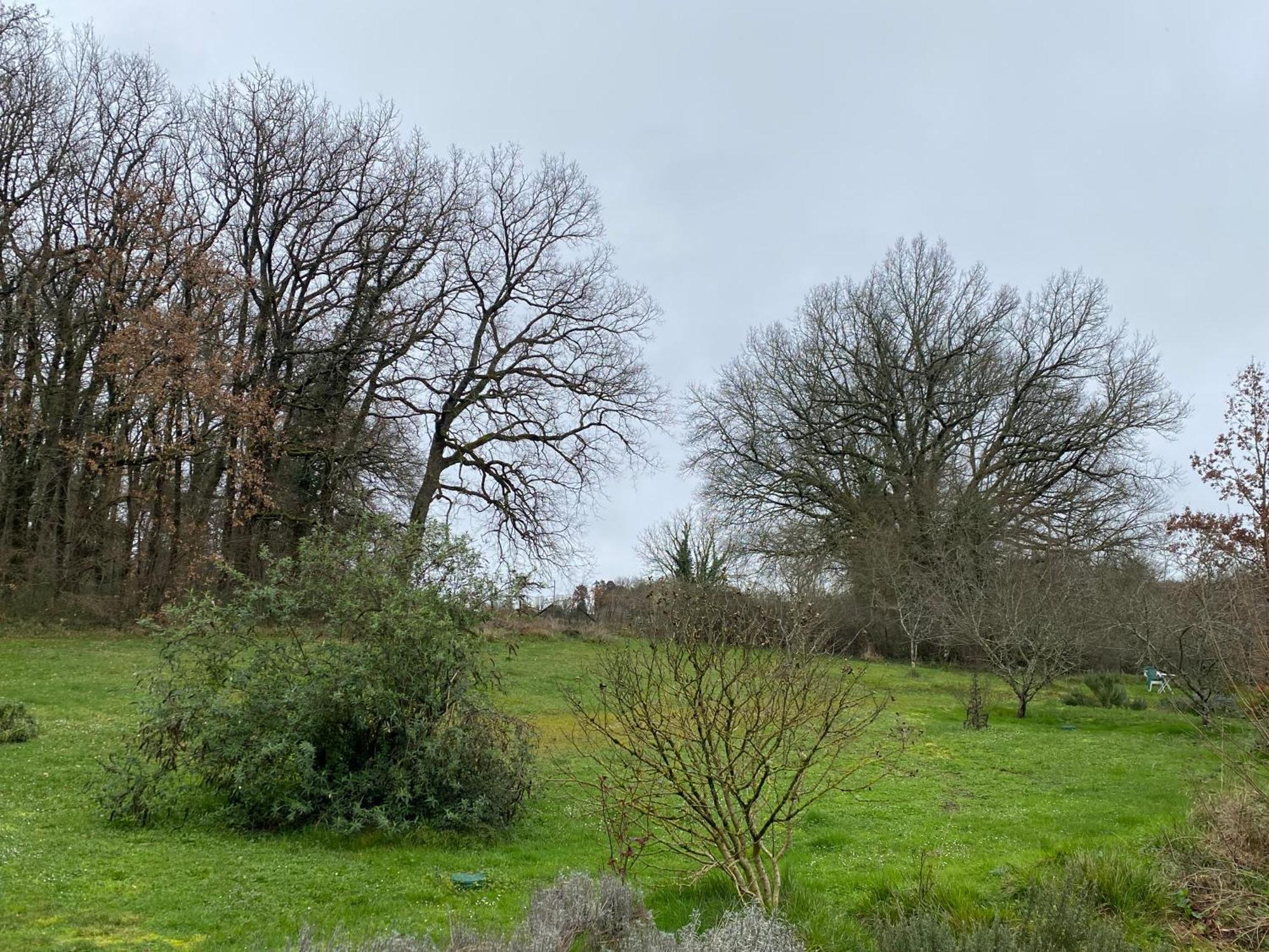 Villa Katy'S Barn Saint-Aulaye-Puymangou Esterno foto